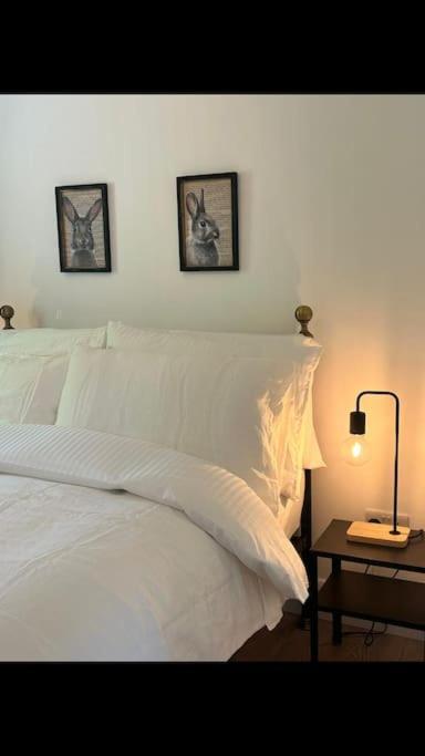 Apartment Peaceful, Relaxing And Warm 2-bedroom, Sleeps 4, Self-catering Galtee Mountain - For Mitchelstown, Cahir, Cashel And Cork, 1hr Drive From 4 Cities *
